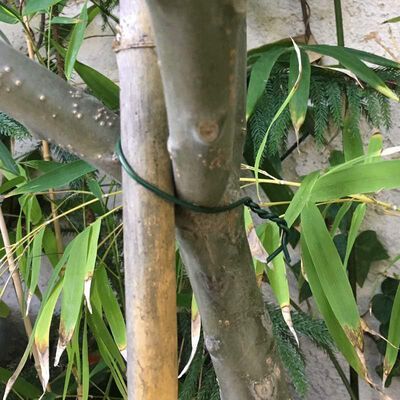 Dark Green Flexible Plant Ties 30m 45m Garden Plant Training Wire 1mm 1.5mm 2.0mm — image 4