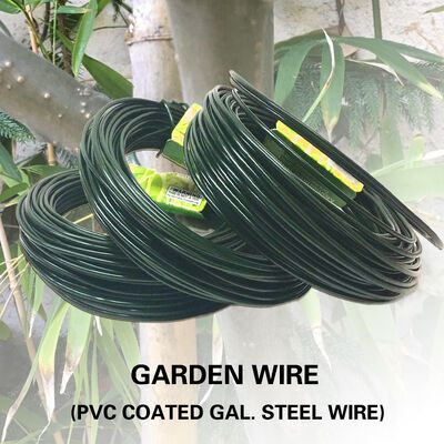 1mm 2mm Plastic PVC Coated Galvanized Steel Wire Rope Hanging Wire Garden