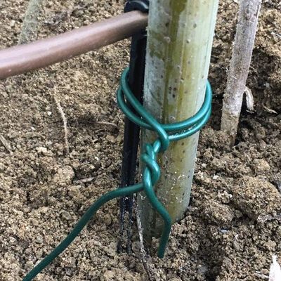 1mm 2mm Plastic PVC Coated Galvanized Steel Wire Rope Hanging Wire Garden — image 3