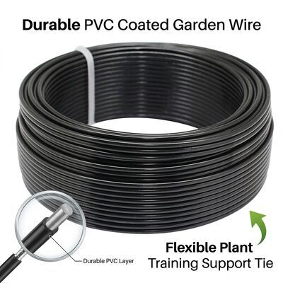 Galvanized Bare Garden Wire 1.6mm 2.0mm 3.0mm High Tensile Coil for Fencing Trellis